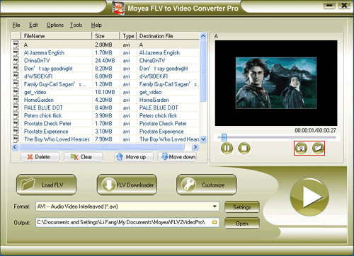 input flv